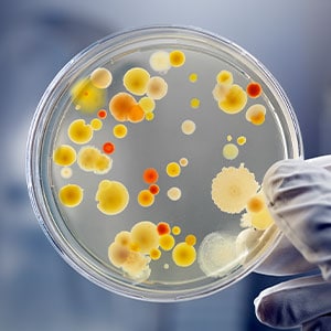 Microbial Control and Monitoring in Aseptic Processing Cleanrooms