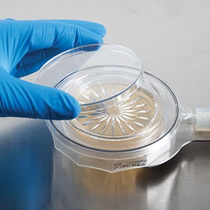 Viable Air Monitoring with biocapt single use