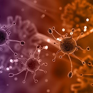 Environmental Monitoring Data