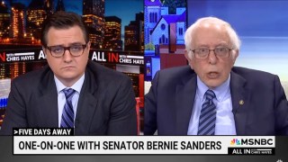 Bernie Sanders Pleads With Pro-Palestine MSNBC Viewers to Support Kamala Harris | Video