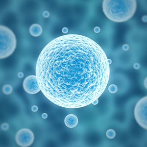 Condensation Particle Counters